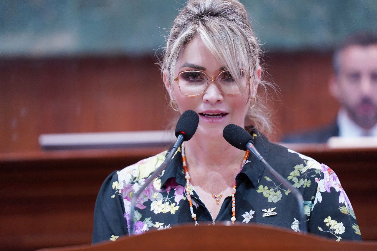 “Es derecho humano la libertad de expresión”: Celia Jáuregui