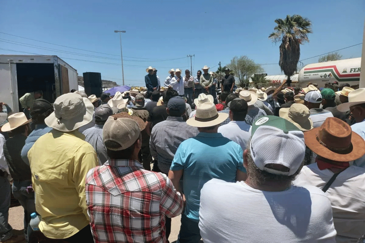 DominGrilla/Diálogo con maiceros, pero condicionado/Por Francisco Chiquete