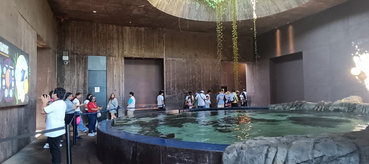 ¿Qué hace único Mazatlán?