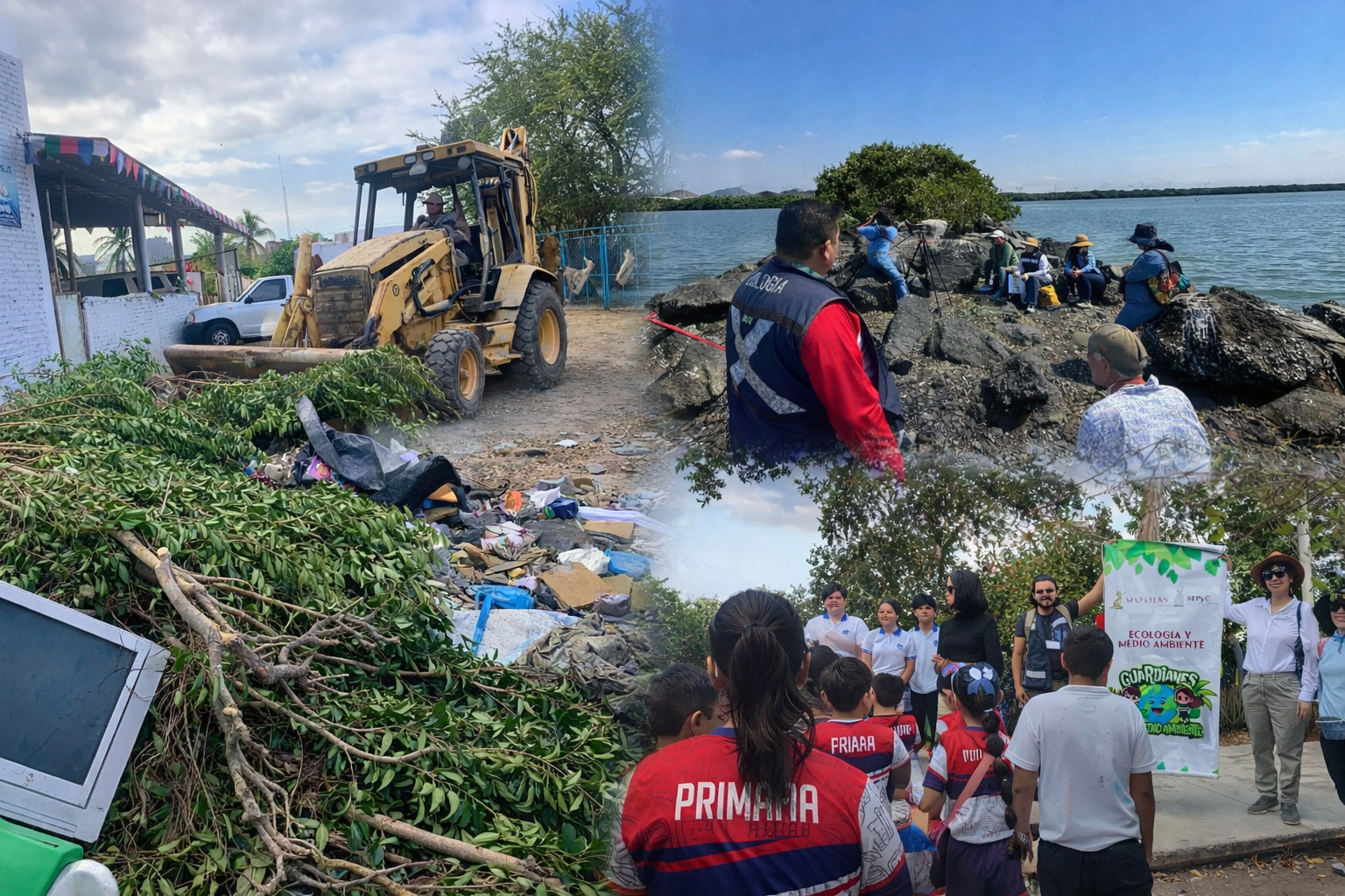 Mazatlán limpia manglares pero no toca a los responsables