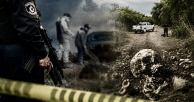 Fin de semana violento en Sinaloa: 10 muertos, restos humanos y 7 desapariciones reportadas