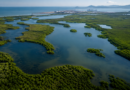 Mexinol acuerda proteger 600 hectáreas de humedales en Topolobampo Mexinol acuerda proteger 600 hectáreas de humedales en Topolobampo