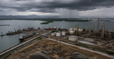Bahía de Ohuira: fallas geológicas y zona de huracanes, riesgo industrial y la batalla que escala hasta la ONU Bahía de Ohuira: fallas geológicas y zona de huracanes, riesgo industrial y la batalla que escala hasta la ONU