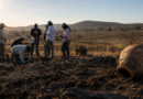 La tierra que guarda dos historias: desaparecidos y antiguos habitantes de Sinaloa La tierra que guarda dos historias: desaparecidos y antiguos habitantes de Sinaloa