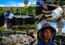 Cultivan tilapia en prisión; “queremos cambiar”, dicen internos de El Castillo Cultivan tilapia en prisión; “queremos cambiar”, dicen internos de El Castillo