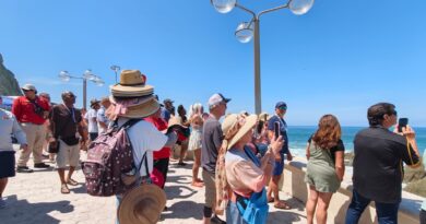 Mazatlán sigue aportando a la economía de Sinaloa: recibe más de 300 mil cruceristas en 7 meses