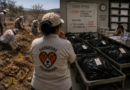 Más de 6 mil desaparecidos: la guerra del narco desborda a Sinaloa y obliga a las madres buscadoras a suplir al Estado Más de 6 mil desaparecidos: la guerra del narco desborda a Sinaloa y obliga a las madres buscadoras a suplir al Estado