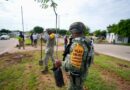 Mazatlán se suma a jornada nacional de reforestación