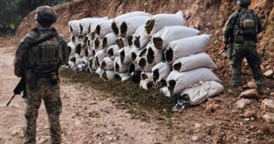 Golpe en Sinaloa: detienen a 12 y aseguran arsenal, droga y 1.7 mdp Golpe en Sinaloa: detienen a 12 y aseguran arsenal, droga y 1.7 mdp