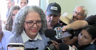 Todos los sectores participarán en plan integral de seguridad: Graciela Domínguez Todos los sectores participarán en plan integral de seguridad: Graciela Domínguez