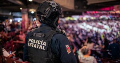 Sinaloa y la apuesta pública por la reactivación Sinaloa y la apuesta pública por la reactivación